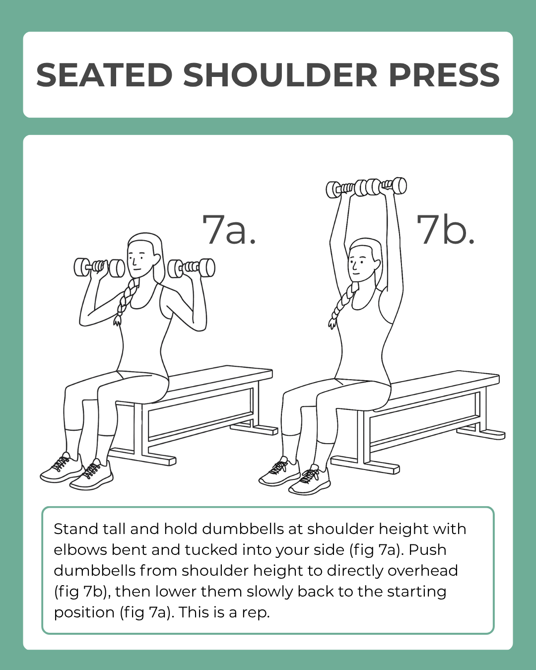 Illustration of a seated shoulder press exercise with text instructions on a green background