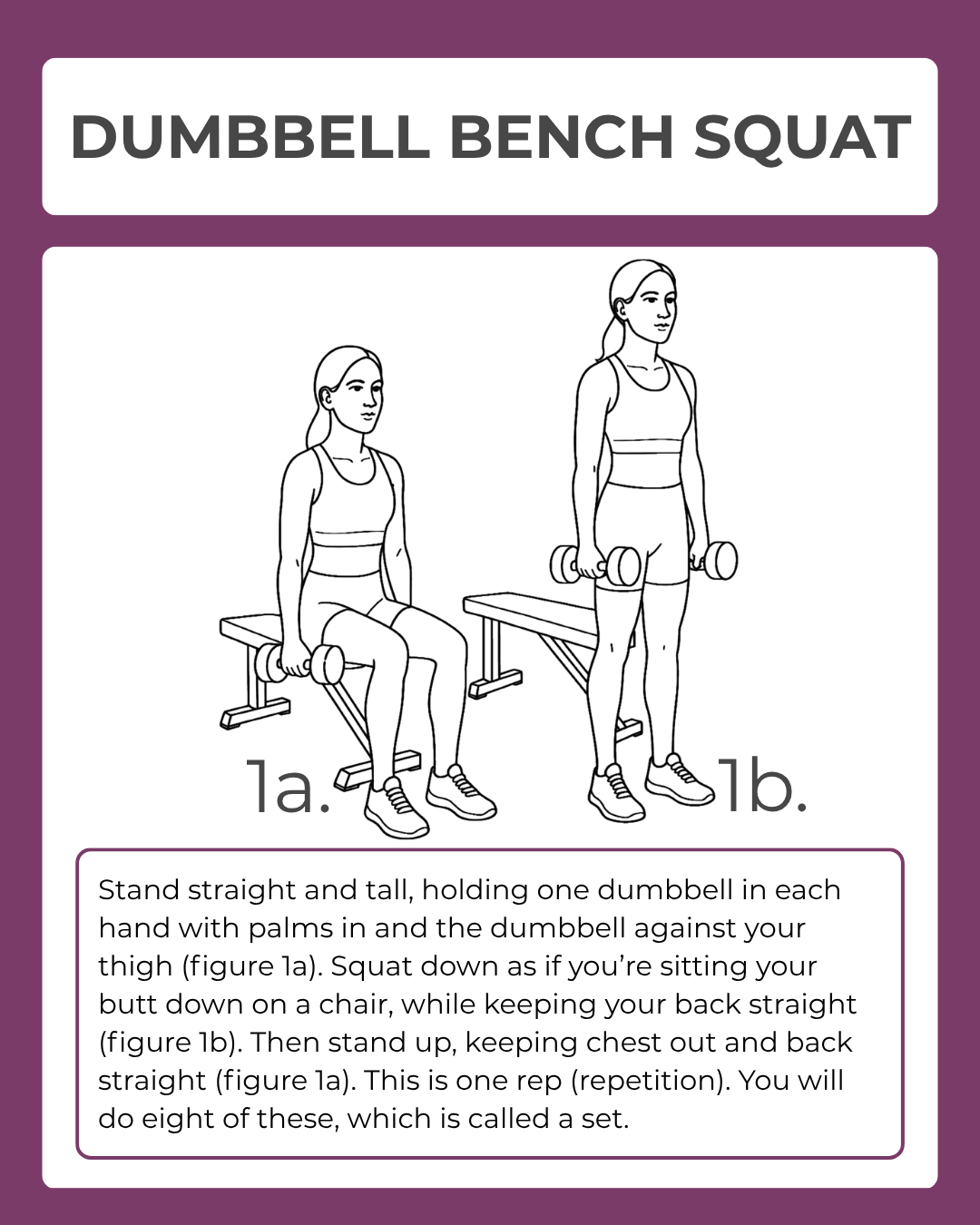 Illustration of a dumbbell bench squat exercise with instructions on a purple background