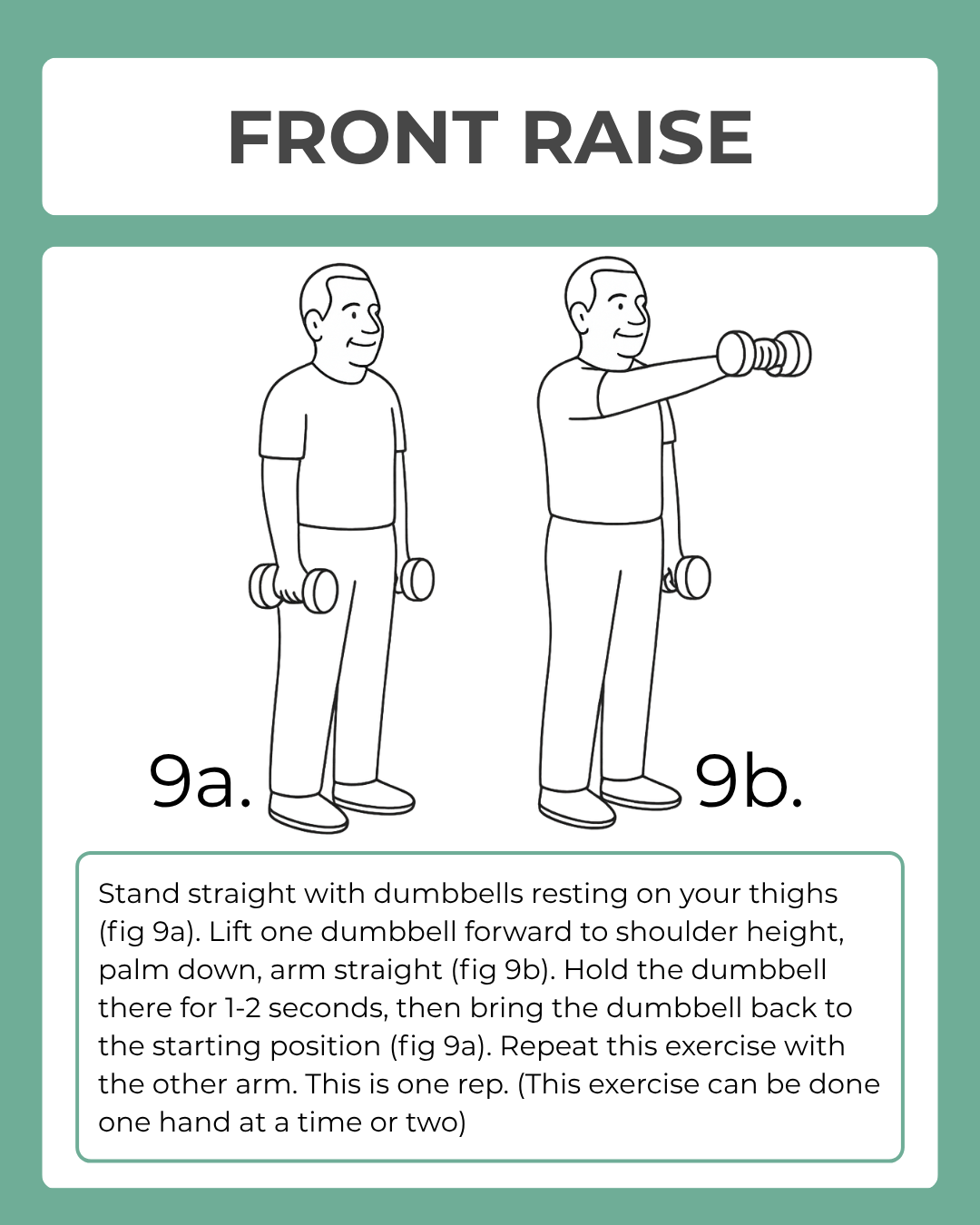Illustration of a front raise exercise with dumbbells on a green background