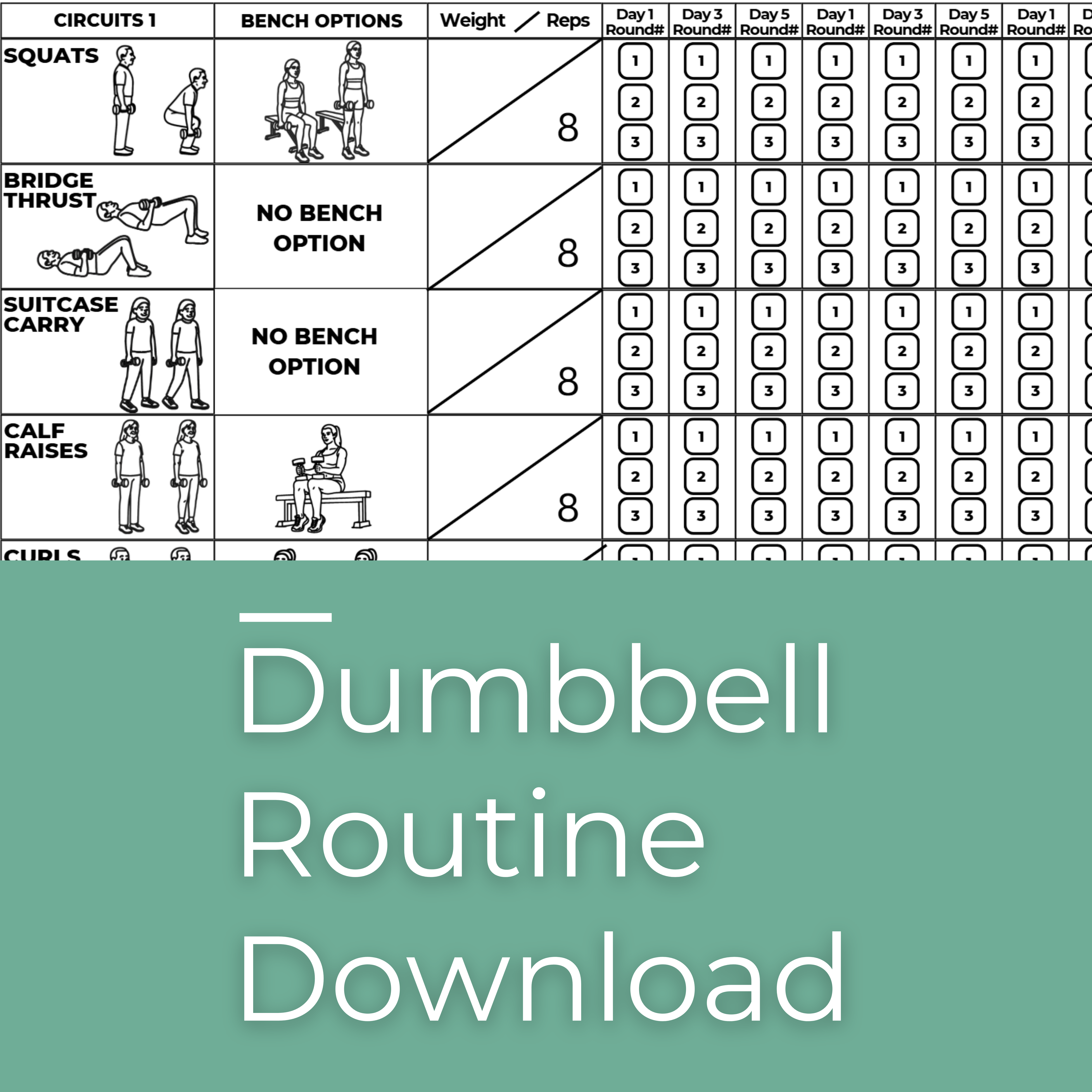 Dumbbell workout routine chart with illustrations and text on a green background