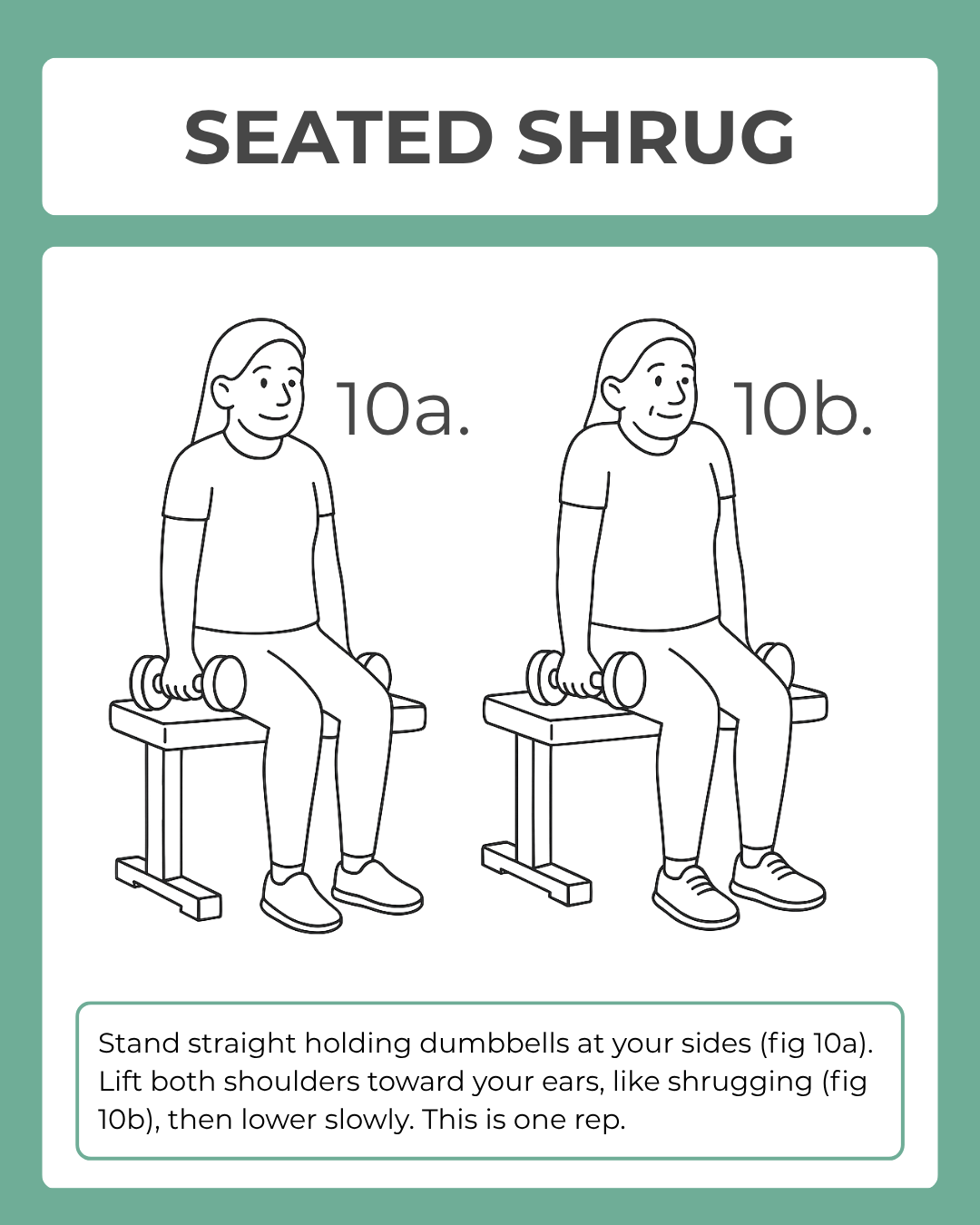 Illustration of a seated shrug exercise with instructions on a green background