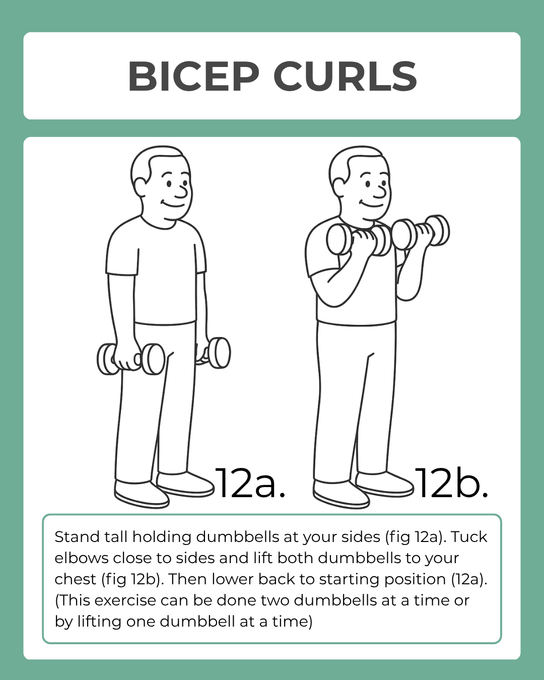 Illustration of a person performing bicep curls with dumbbells on a green background