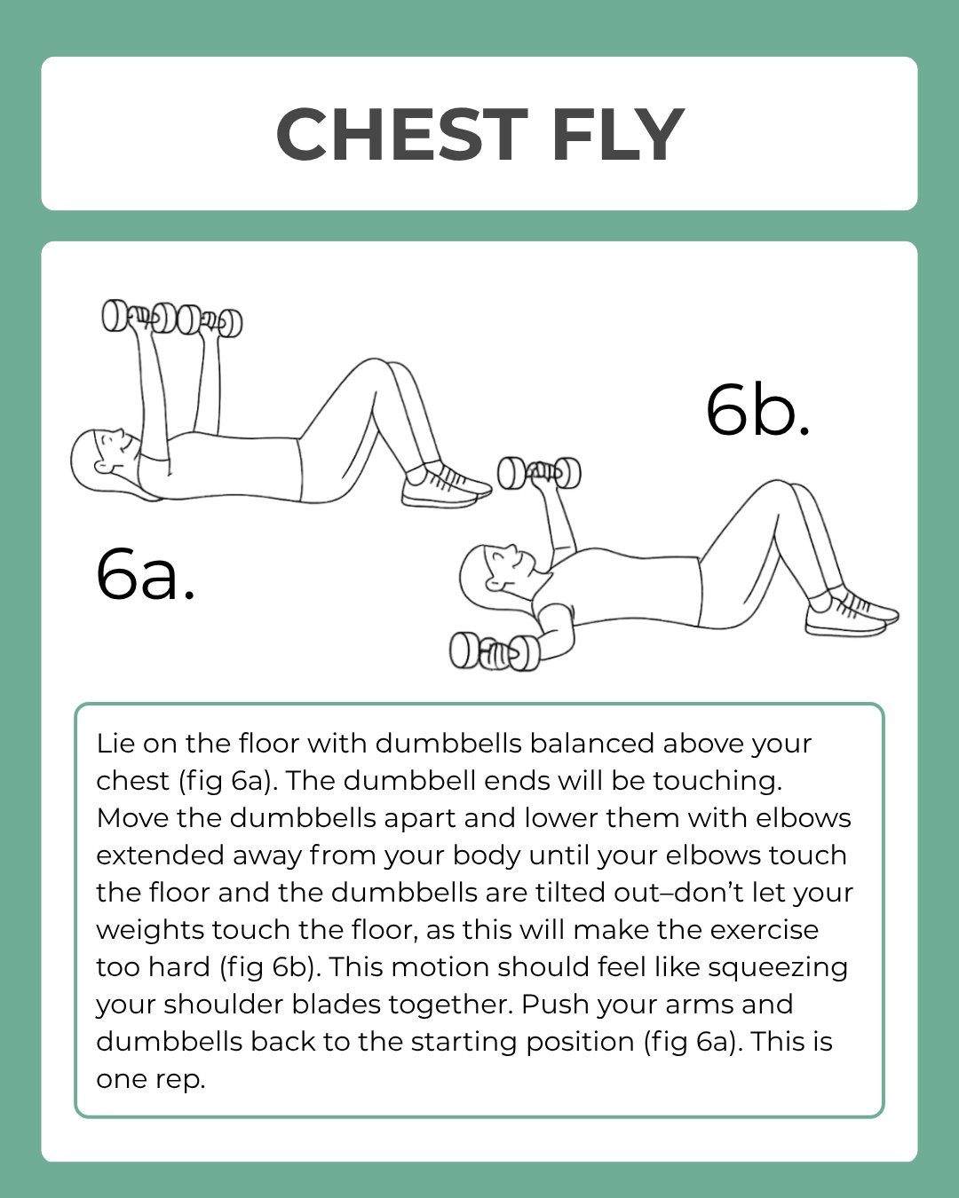 Instructions for a chest fly exercise with dumbbells on a green background