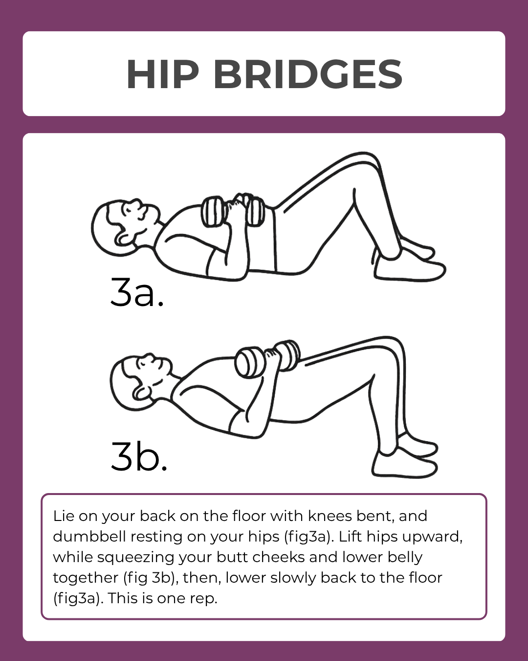 Illustration of hip bridges exercise with dumbbells on a purple background