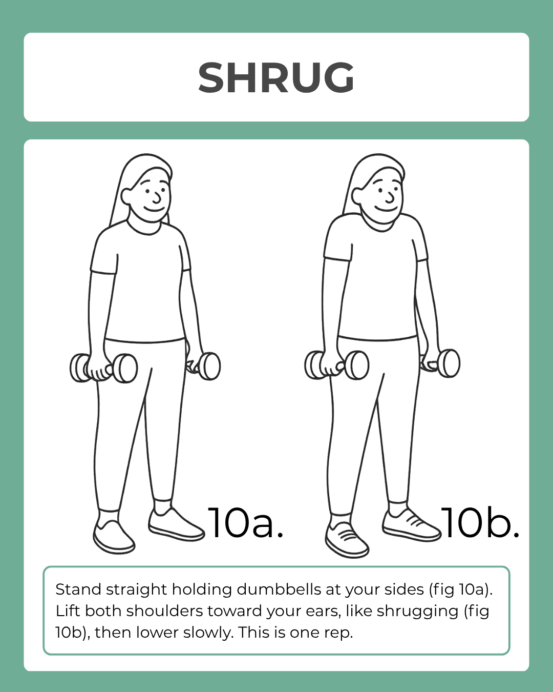 Illustration of a shrug exercise with dumbbells on a green background