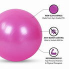 Balance Ball | Balance Training for Seniors - Ageless Conversations