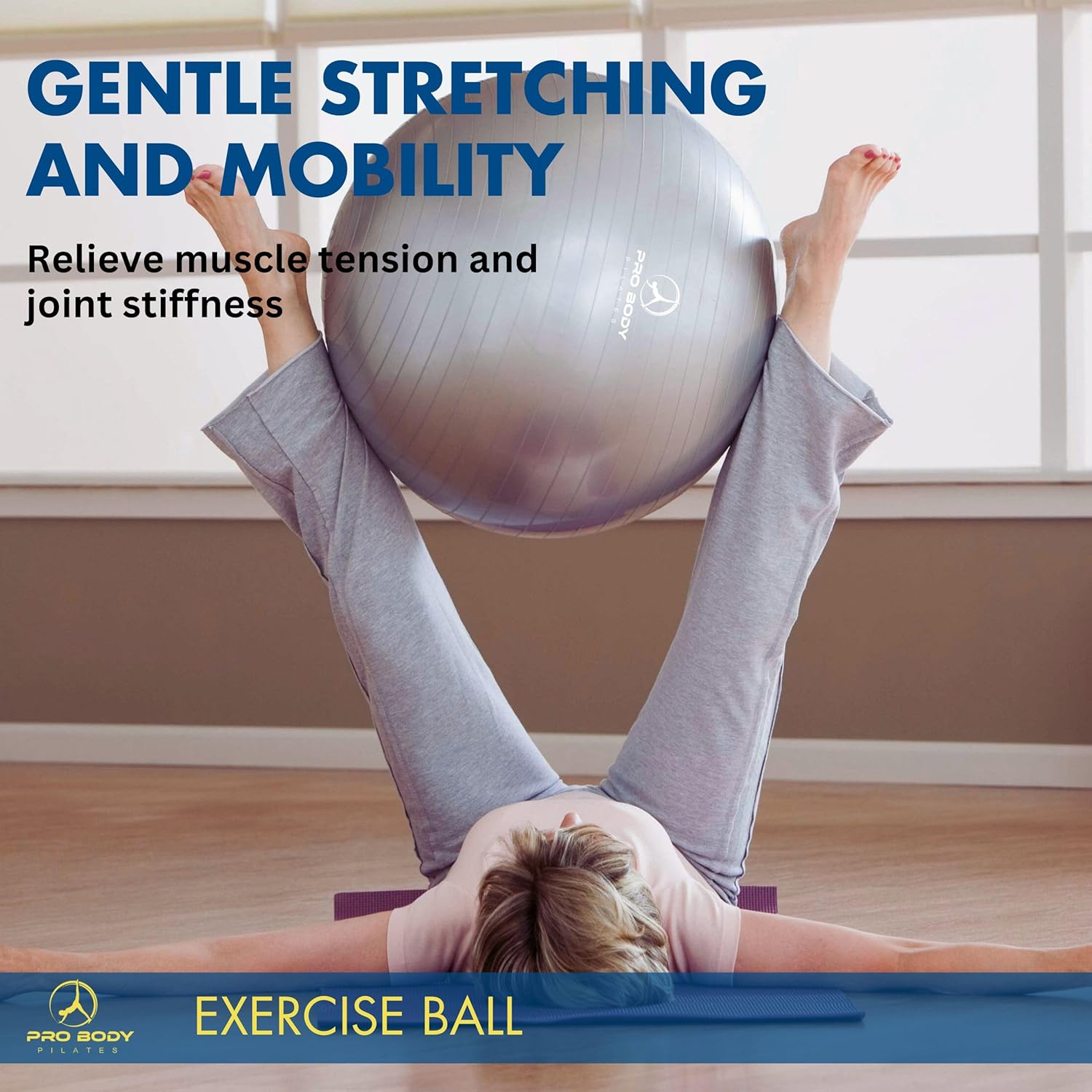 ProBody Balance Ball - Ageless Conversations